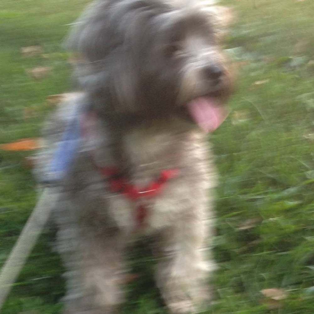 Meet your Posher, Varsha